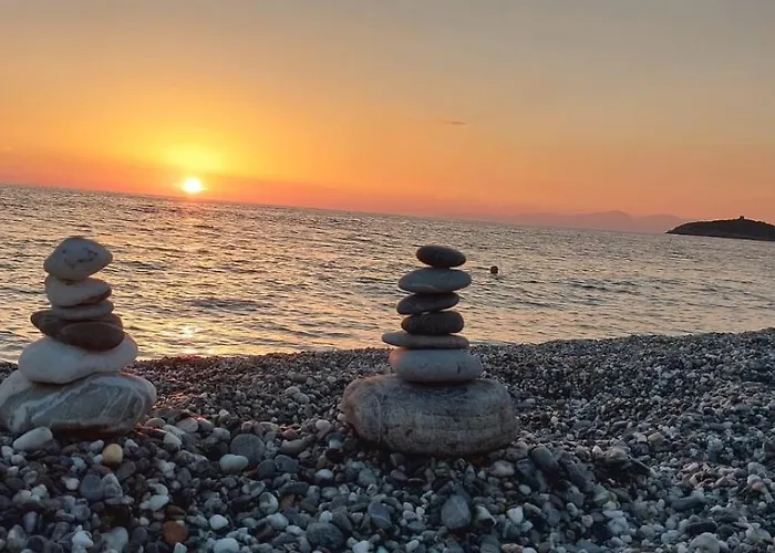 Alojamento de Acomodação e Pequeno-almoço Artemare